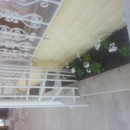 Lanova 2*